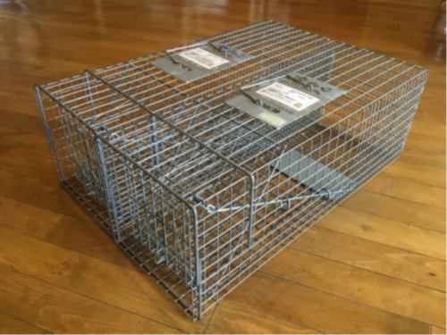 スチールワイヤーで作られた角形の捕獲機の写真