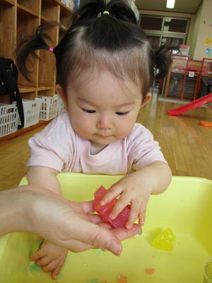色のついた寒天を持ち感触遊びをしている女の子の写真