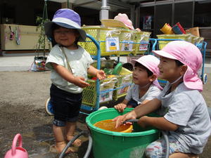 園庭でバケツとホースを使って水遊びをする3人の子供たちの写真