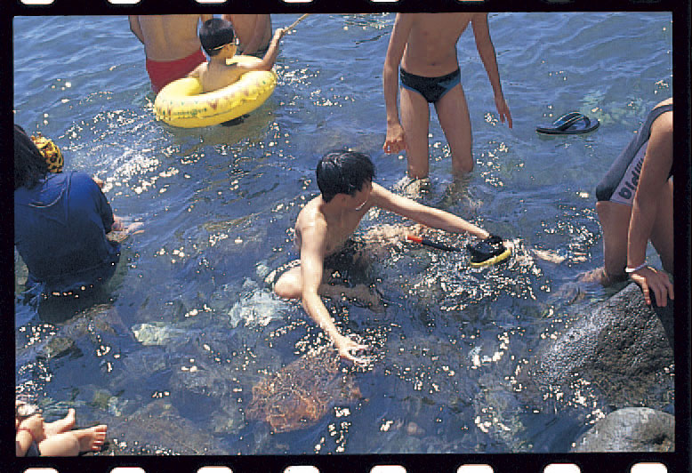 海で大人や子どもがサザエやアワビを探している写真