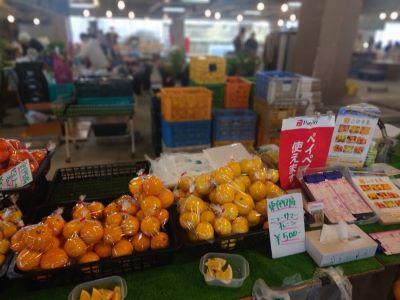 朝市でみかんが陳列され販売されている写真