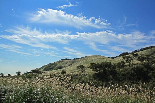 青空の下、ススキが広がる草原と草木の景色が遠くの山まで続いている細野高原の写真