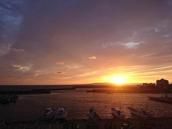 一面の海景色を夕焼けが照らし、停泊している漁船やヨットを写した稲取漁港の写真