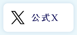 公式X