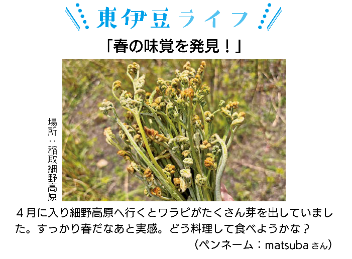 ひがしいずライフ掲載例１