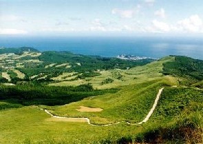 遠くの海まで見える緑豊かな広大な細野高原を高台から見下ろした写真