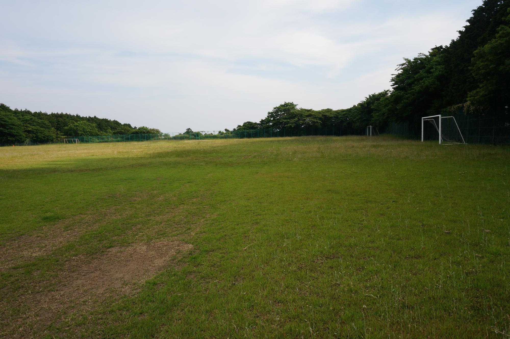 新グラウンド