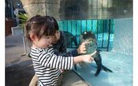 水槽の中が見える大きな窓の周りに2名の子供が集まり、水の中にいるワニを見ている様子を写した写真（ふるさとチョイス（東伊豆町のお礼の品情報：イベントやチケット等）のサイトへリンク）