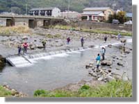 白田川で複数の人が鮎釣りをしている写真